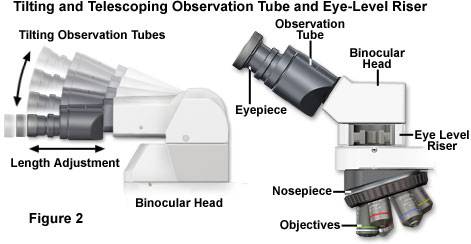 奥林巴斯显微镜|奥林巴斯生物显微镜|奥林巴斯金相显微镜|奥林巴斯倒置显微镜|OLYMPUS显微镜|上海普赫光电科技有限公司