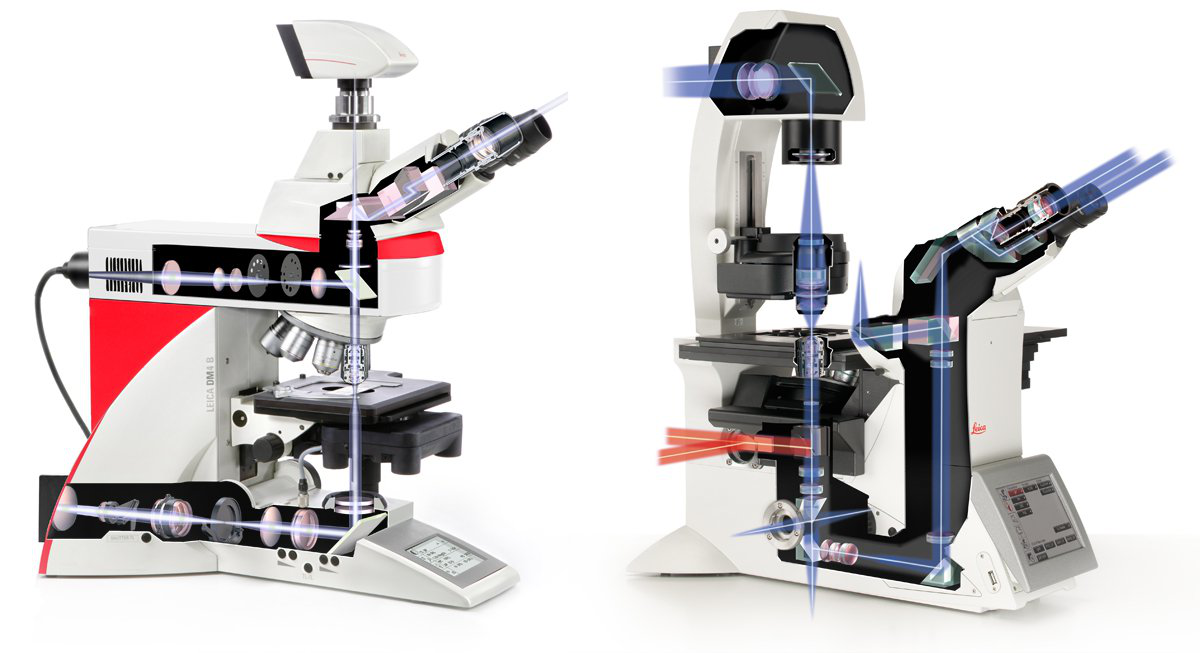 奥林巴斯显微镜|奥林巴斯生物显微镜|奥林巴斯金相显微镜|奥林巴斯倒置显微镜|OLYMPUS显微镜|上海普赫光电科技有限公司官网