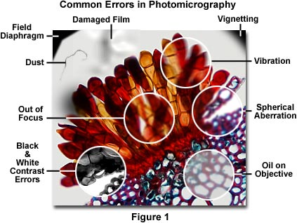 显微照相术的常见错误