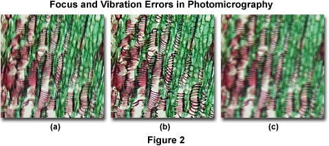 在显微照相中的焦点和振动误差