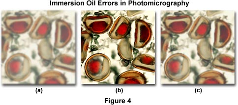 在显微摄影浸油的错误